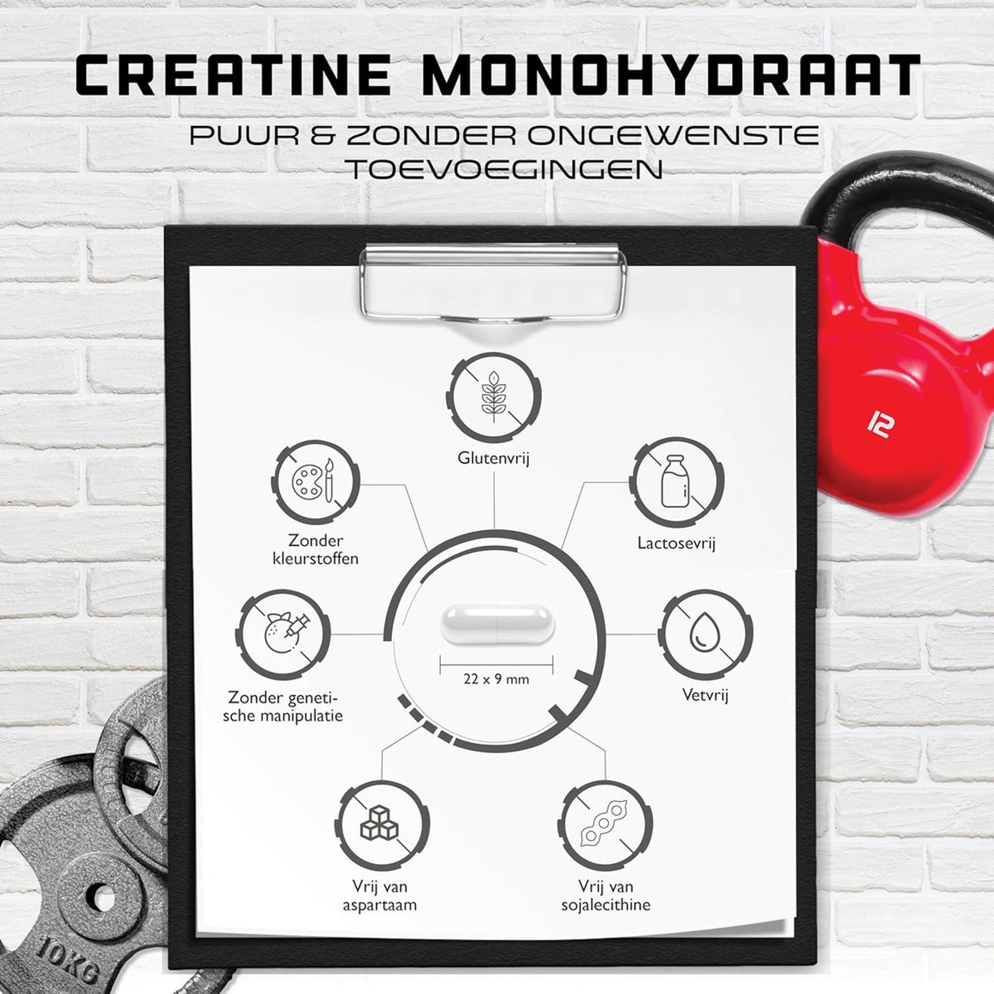 Creatine Ultra Caps | 180 capsules met elk 1250 mg puur creatine-monohydraat | Premium: Ultrazacht + Maasfactor van 200 | Hooggedoseerd