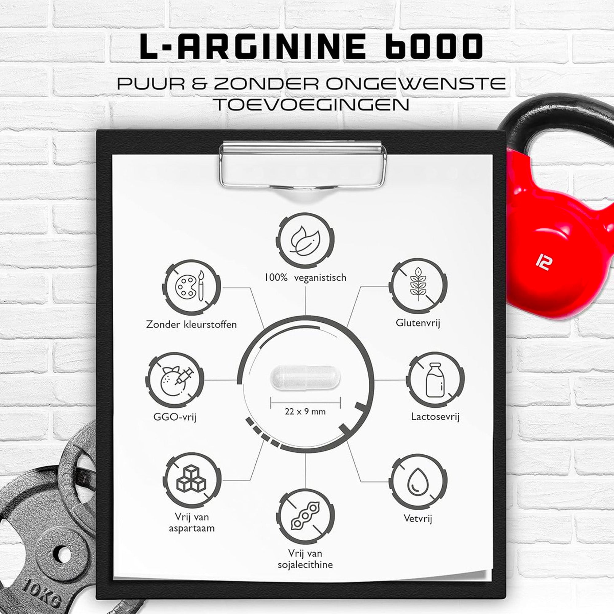L-Arginine | 380 veganistische capsules | 6000 mg plantaardige L-Arginine HCL per dagelijkse portie (= 4980 mg zuivere L-Arginine) | Aminozuur | Hoog gedoseerd