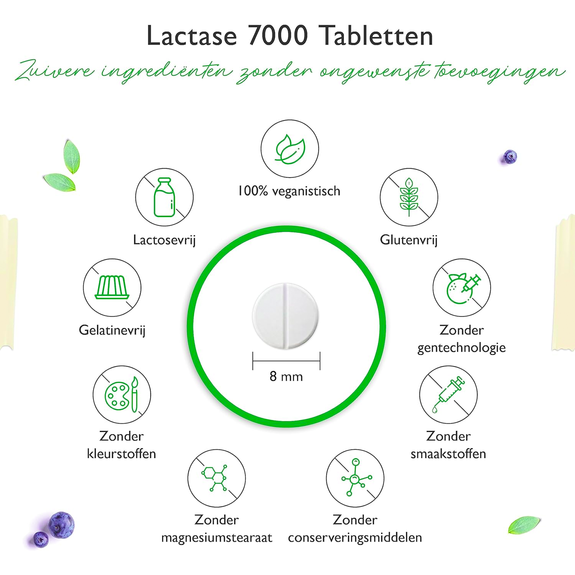Lactase 7.000 | 365 tabletten Hooggedoseerd met 7.000 FCC-eenheden | Voor lactose-intolerantie + melk-intolerantie | Vit4ever