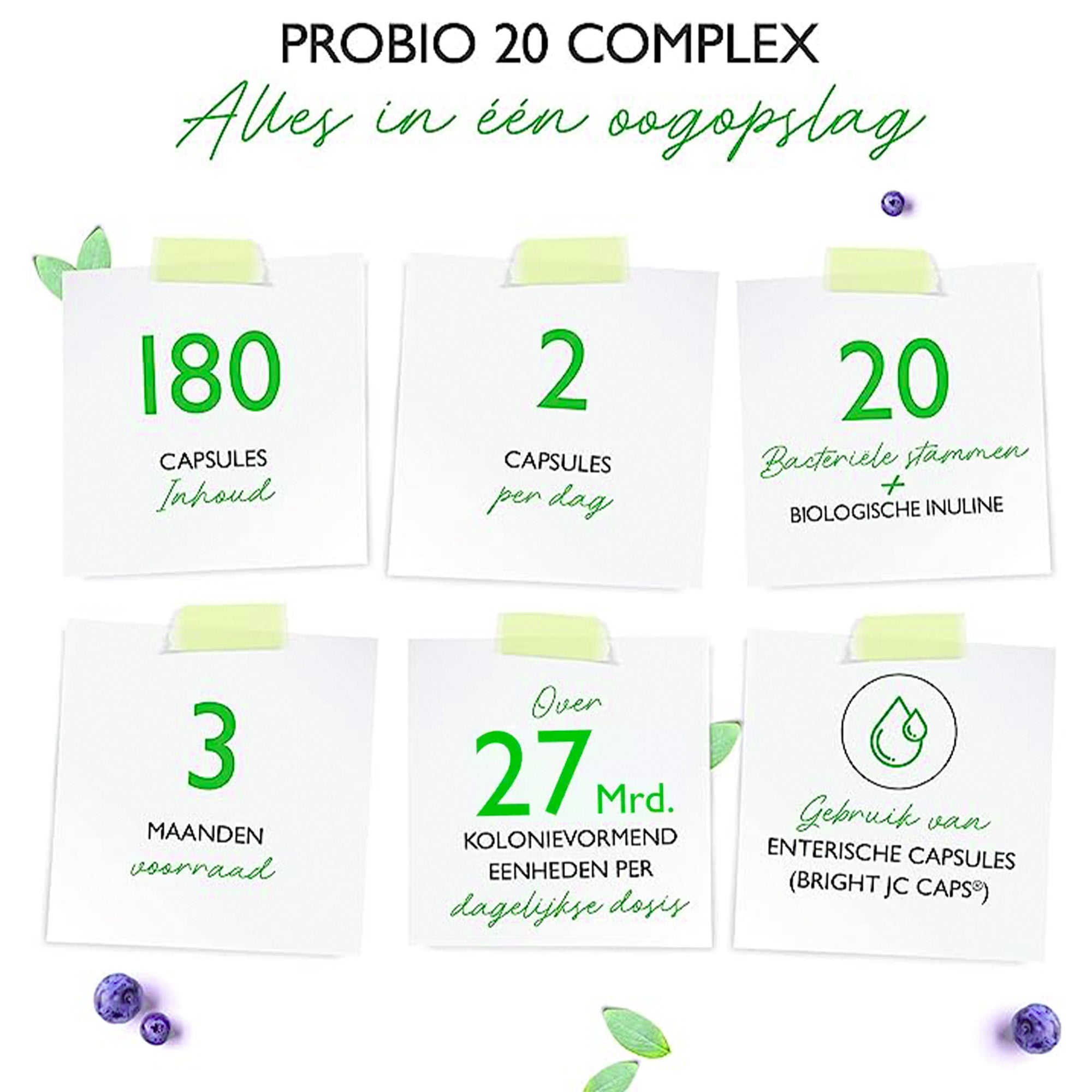 PROBIOTICA 25 | BIO-CULTURE COMPLEX | 25 BACTERIESTAMMEN + FOS | 180 CAPSULES | VIT4EVER