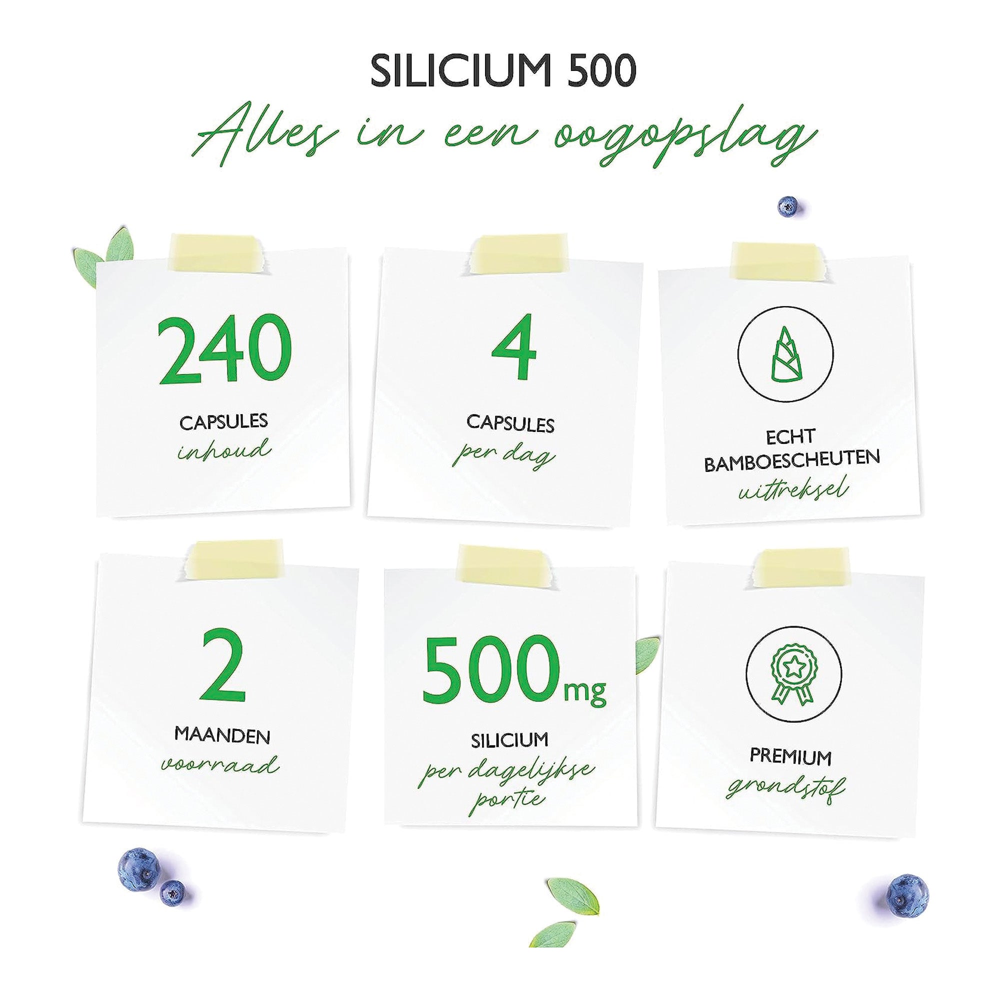 silicium supplement inhoud
