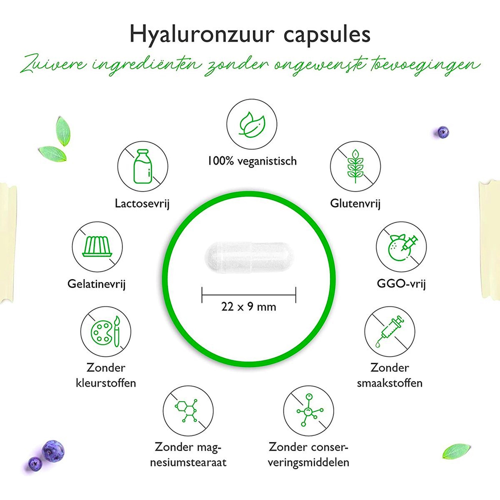 Vit4ever | Hyaluronzuur | 180 capsules hooggedoseerd met 500 mg | 500-700 kDa | Plantaardig uit fermentatie| Veganistisch