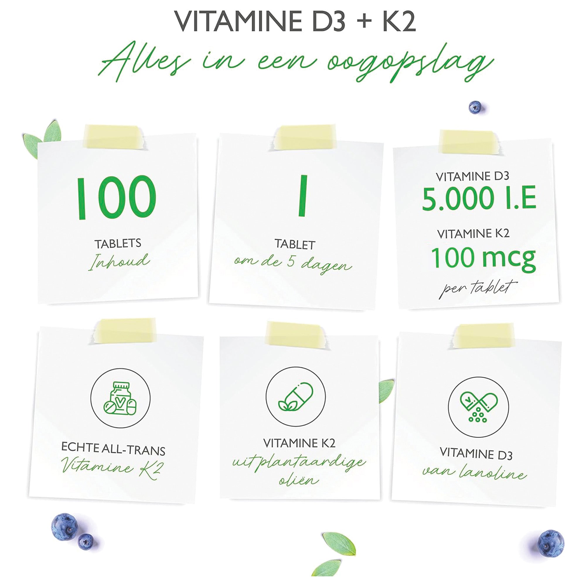 Vitamine D3 + K2 | 5.000 IE & 200UG | 100 Tabletten | Vit4ever