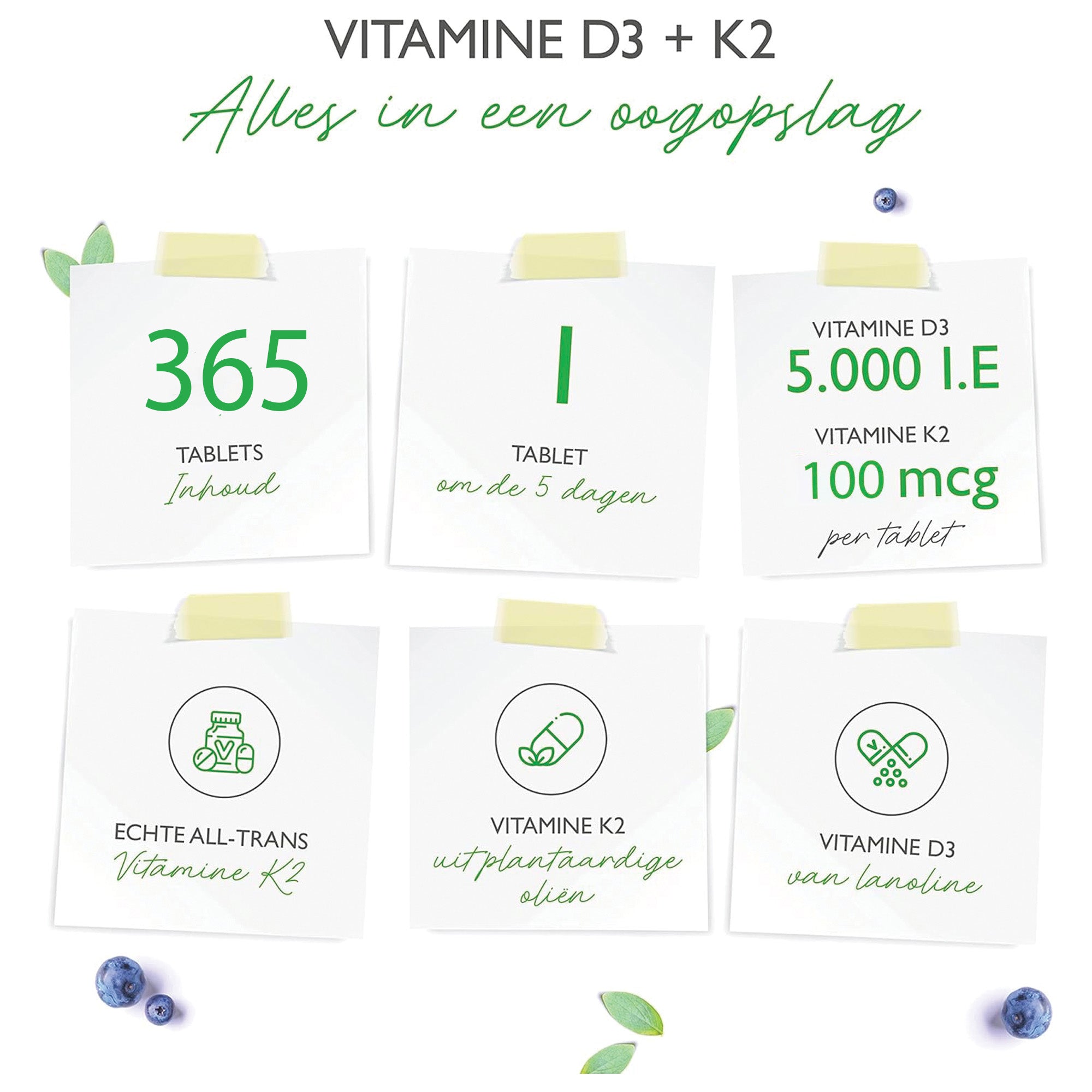 Vitamine D3 + K2 | 5.000 IE & 200UG | 365 Tabletten | Vit4ever