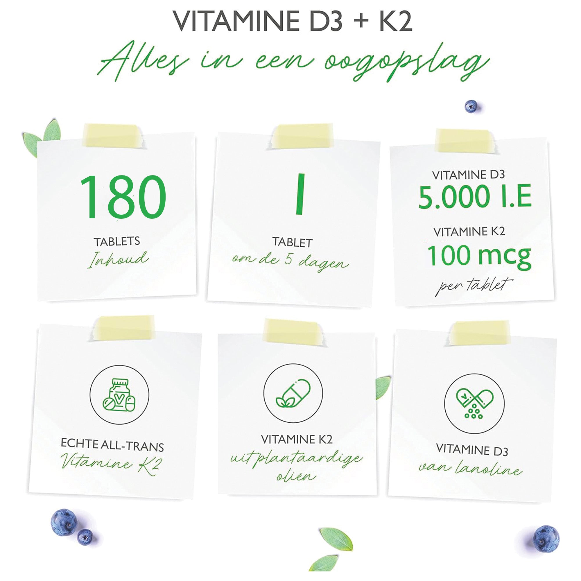 Vitamine D3, 5.000 IU/IE (125 mcg) + Vitamine K2, 100 mcg (MK-7) | 180 tabletten | Vit4ever
