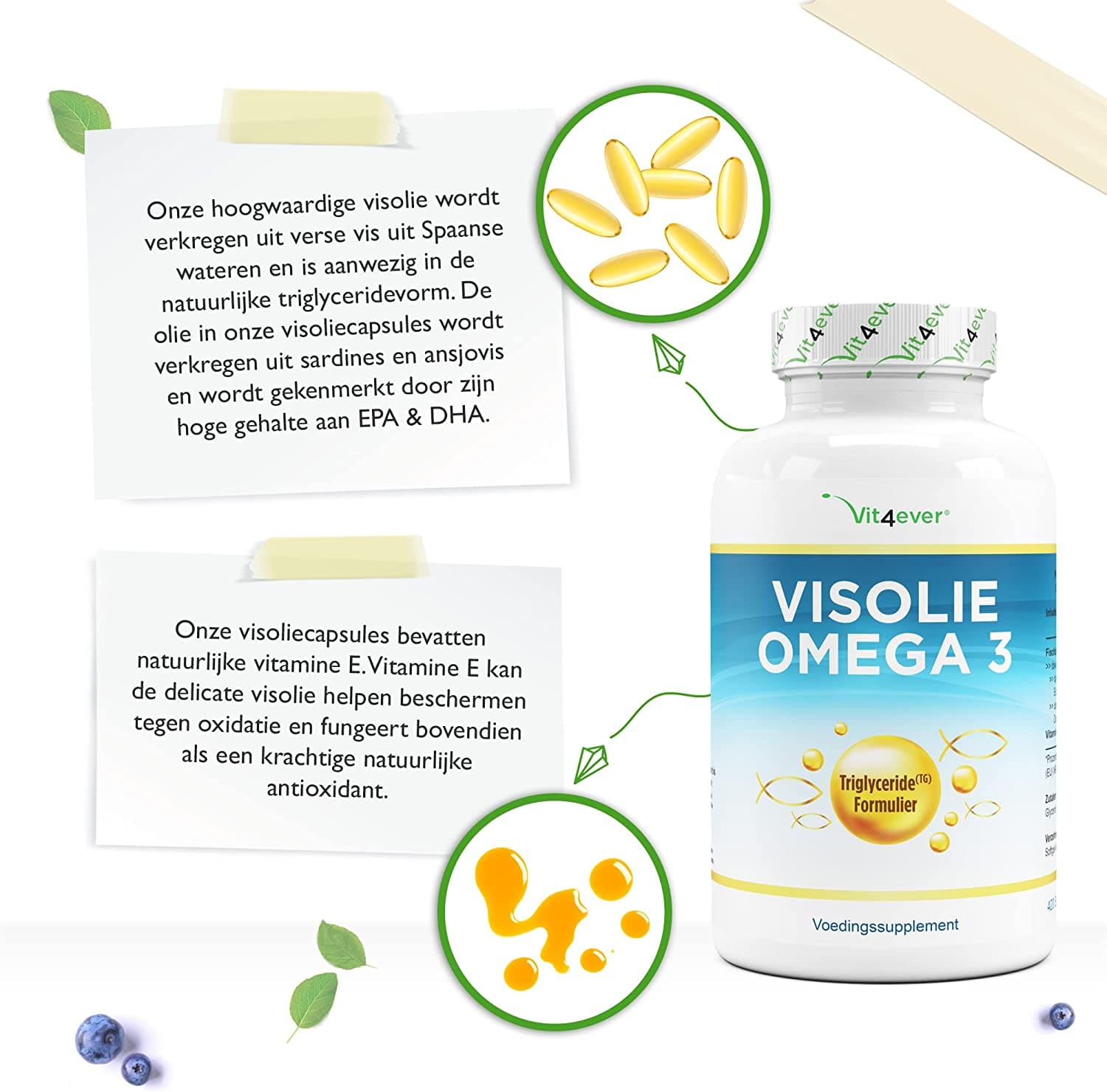 Vis Olie | Omega 3 | Triglyceride vorm | 1000mg | 420 Capsules | Vit4ever