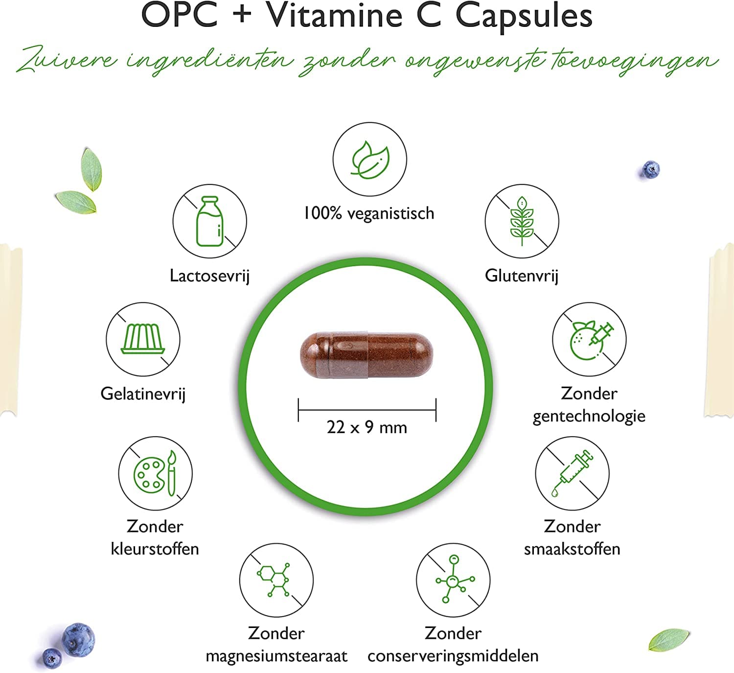 Vegan druivenpit extract OPC met vitamine C