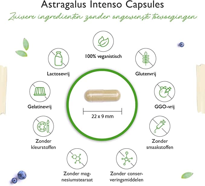Astragalus | 180 Capsules | 50% Polysacchariden | Puur Astragalus-extract | Vit4ever