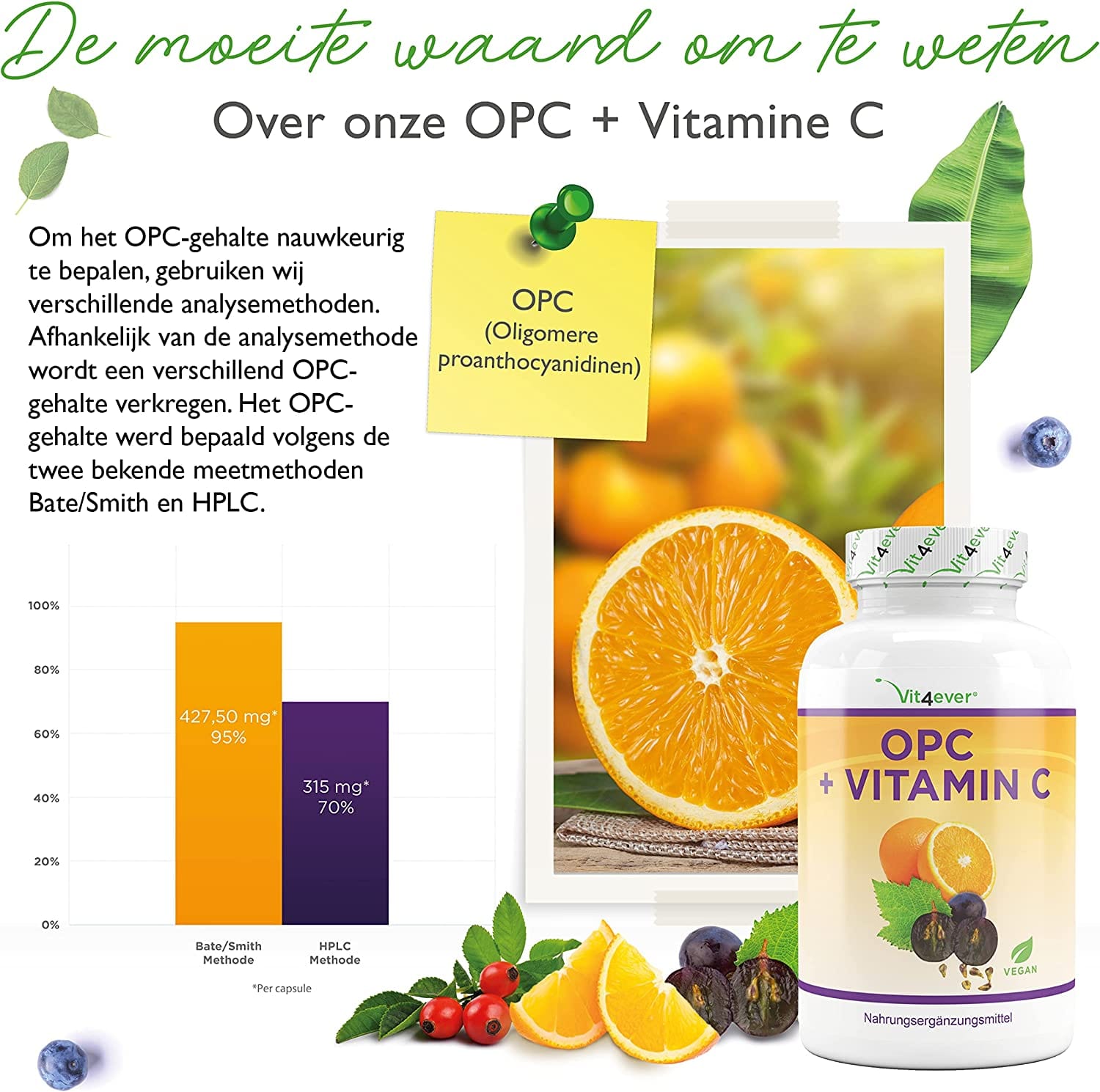 OPC Druivenpit Extract + Natuurlijke Vitamine C | 95% Oligomere Proanthocyanidinen | 240 capsules | Vit4ever
