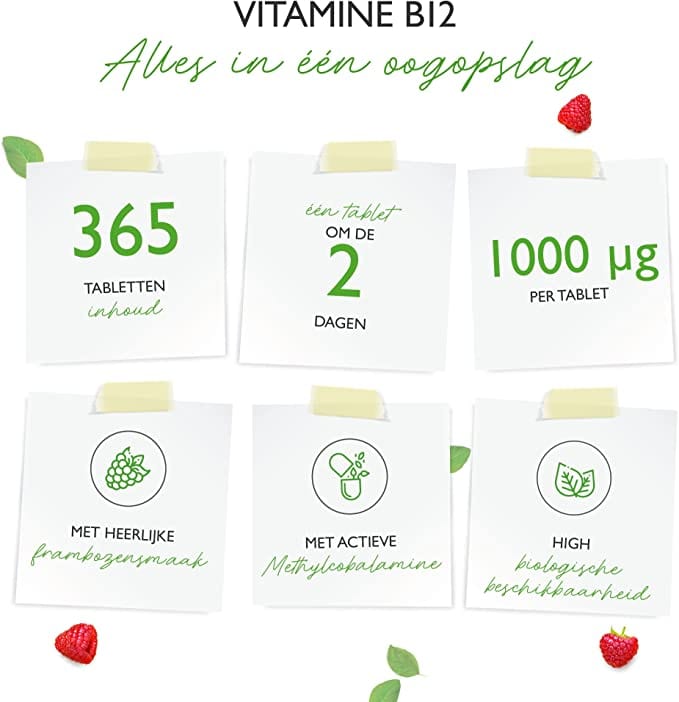 Vitamine B12 | Methylcobalamine | 1000µg | 365 Zuig tabletten | Framboossmaak | Vit4ever