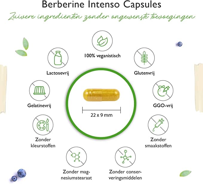 Berberine Intenso HCL 97% | 500mg | 120 Capsules | Vit4ever