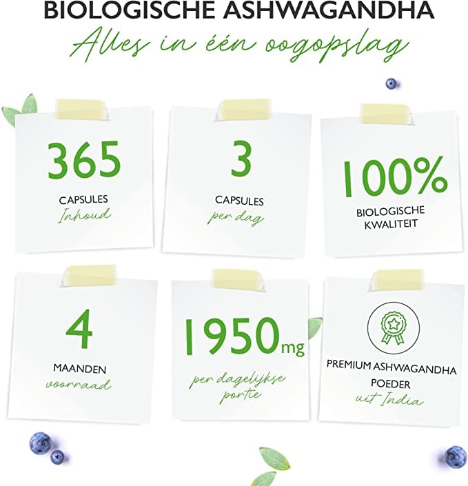 Biologische Ashwagandha | 1950mg | 365 Capsules | Vit4ever