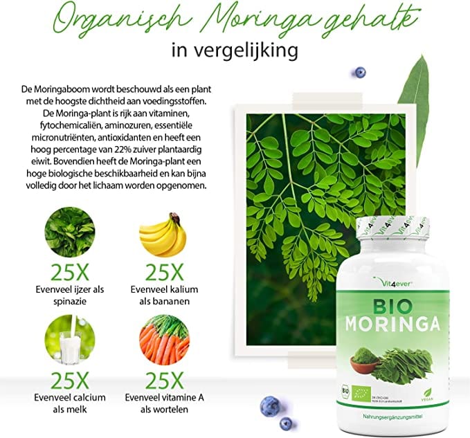 Biologische Moringa | 600mg | 300 Capsules | Vit4ever
