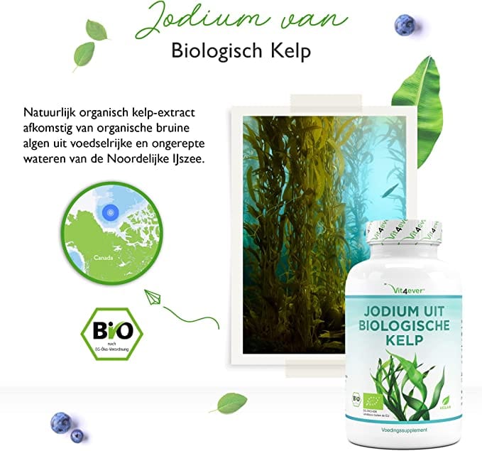 Biologische Kelp | Jodium | 200µg | 365 Tabletten | Vit4ever