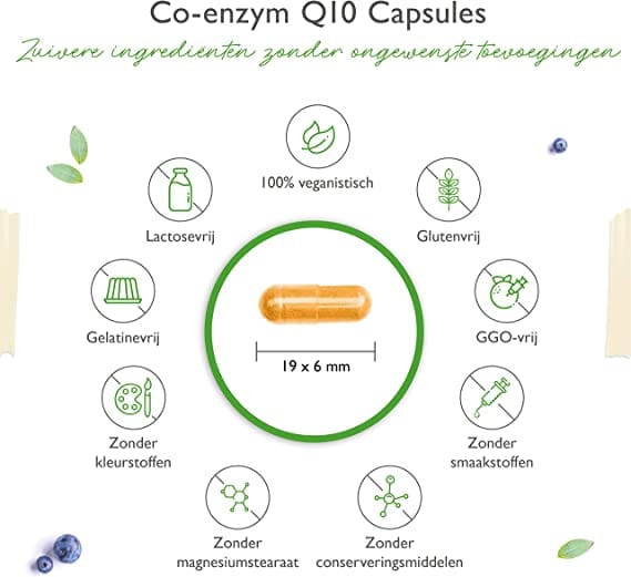 Vegan Co-enzym Q10