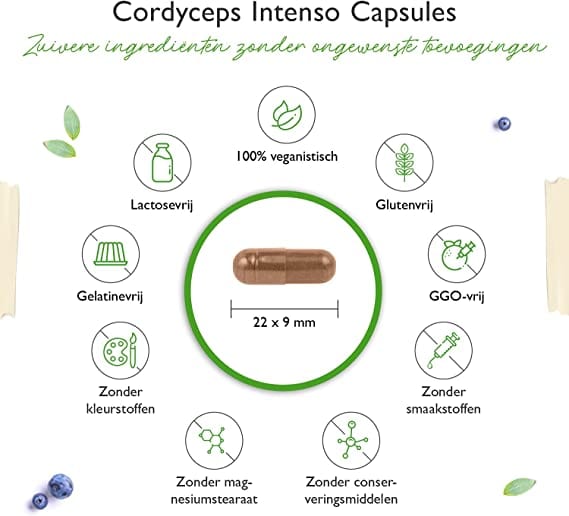 Vegan cordyceps supplement