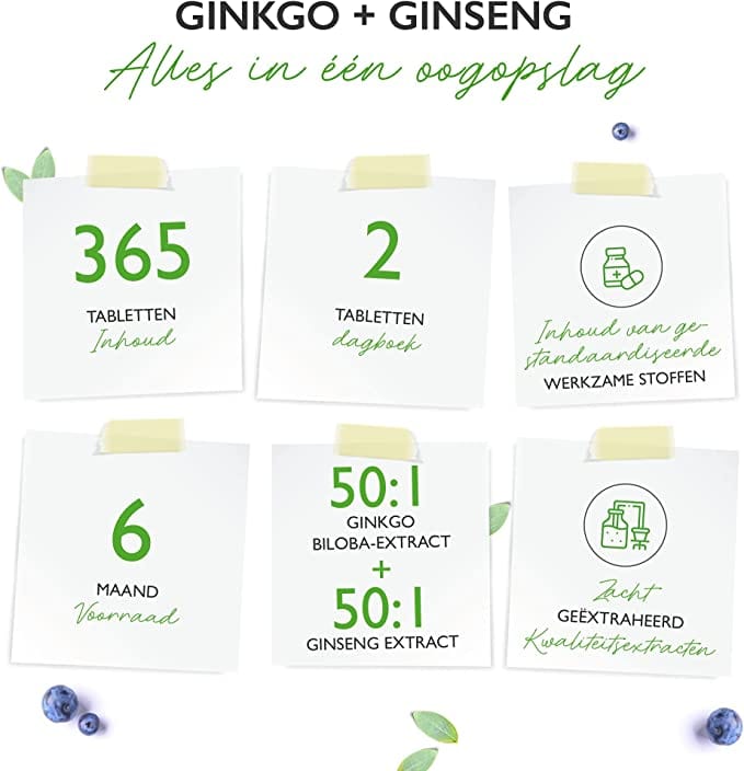Ginkgo + Ginseng | 50:1 Extract | 365 Tabletten | Vit4ever