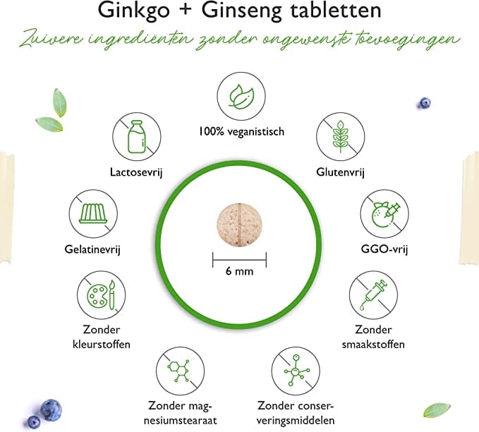 Ginkgo + Ginseng | 50:1 Extract | 365 Tabletten | Vit4ever