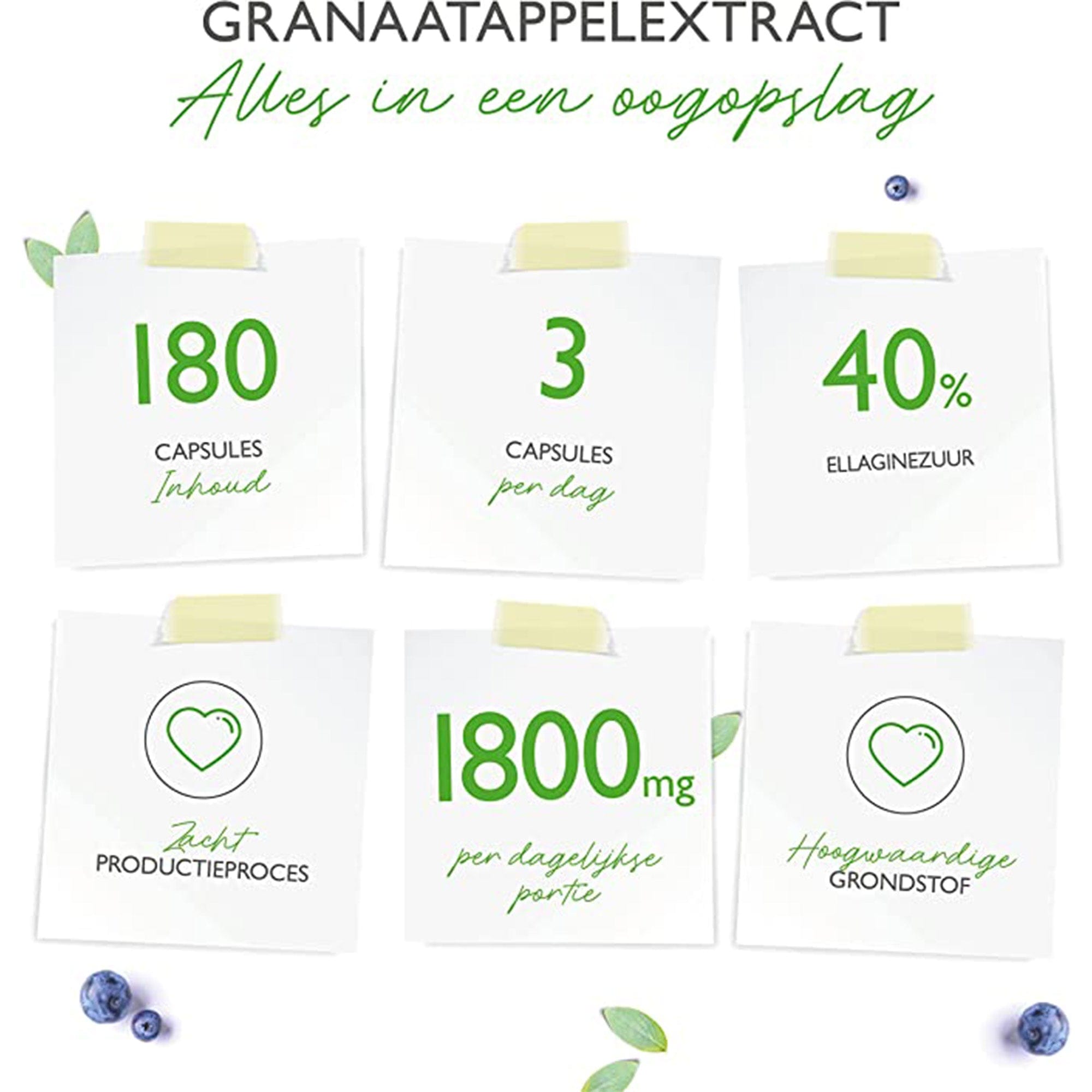 Vit4ever Granaatappelextract | 180 capsules | 1800 mg per dagdosering | Premium: 40% ellaginezuur | Hoog gedoseerd | Veganistisch