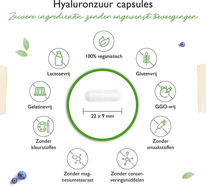Hyaluronzuur | 500mg | 120 Capsules | Vit4ever