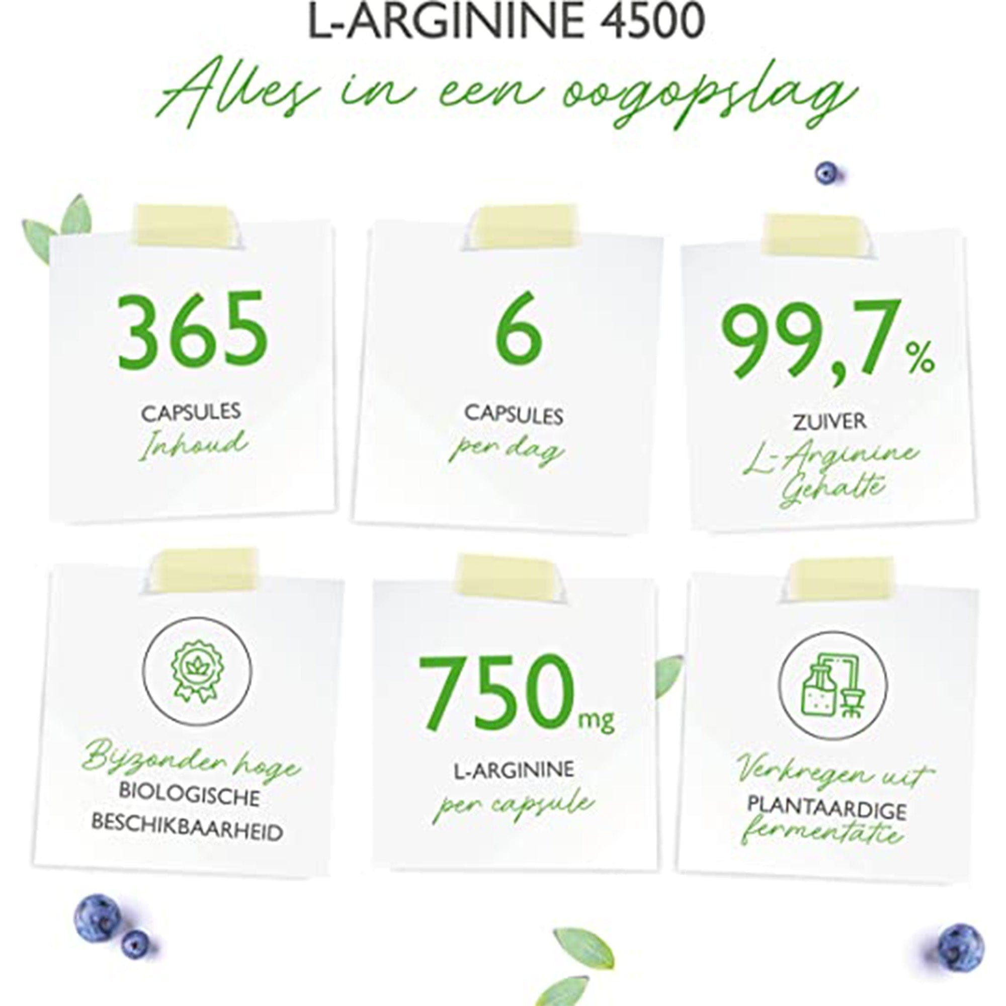 Vit4ever L-Arginine | 365 vegan capsules | Premium: 4500 mg pure L-Arginine per dagelijkse dosis | Gemaakt door plantaardige fermentatie | Hoog gedoseerd | Veganistisch
