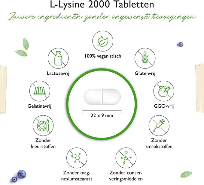 L-Lysine 2000 | 1000mg | 365 Tabletten | Vit4ever