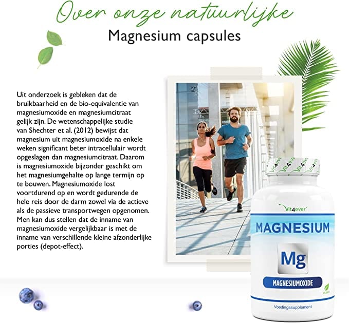Magnesiumoxide | Magnesiumhydroxide | 665mg | 365 Capsules | Vit4ever