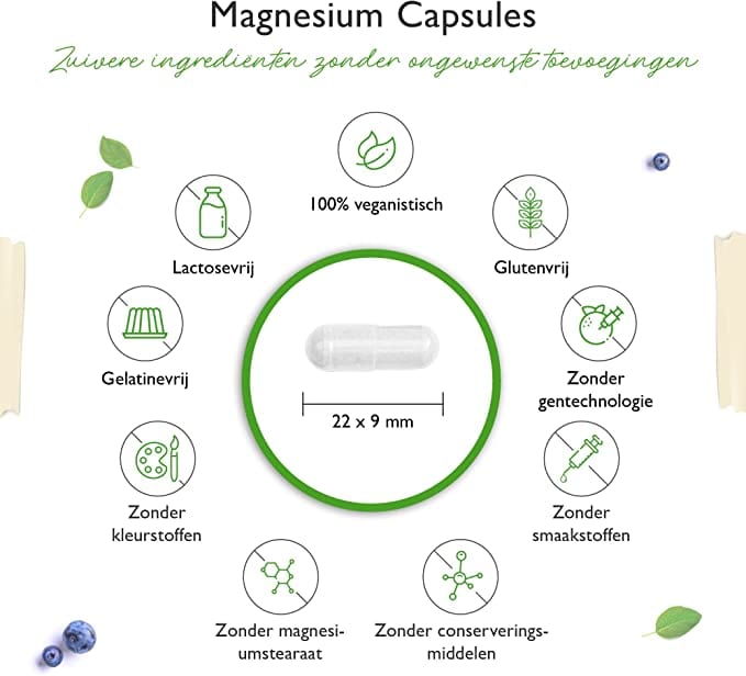 Magnesiumoxide | Magnesiumhydroxide | 665mg | 365 Capsules | Vit4ever