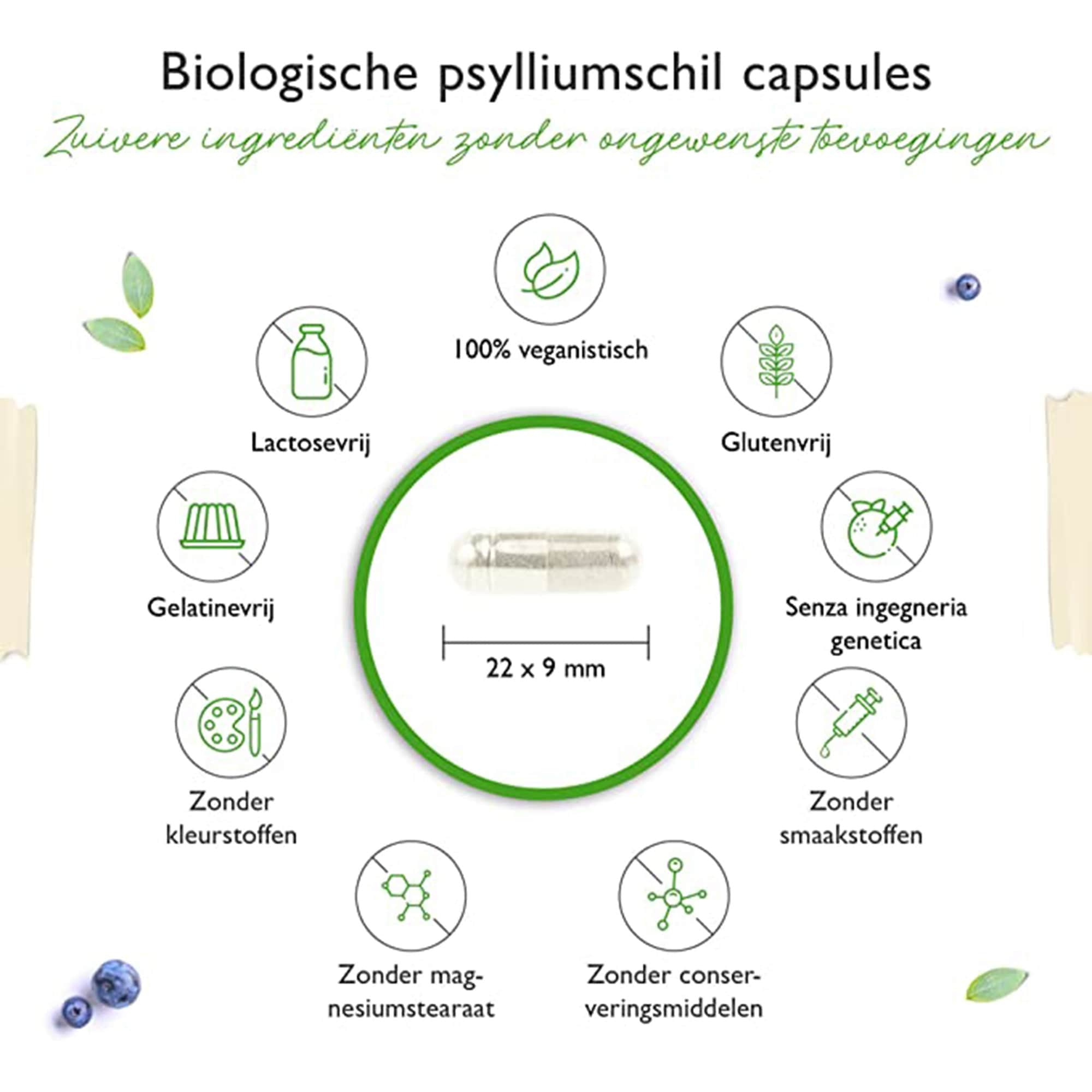 Vit4ever psylliumschillen | 365 veganistische capsules | 3000 mg per dagdosis | Premium: 100% organisch psyllium uit India, 99+% zuiver, fijngemalen | Duurzaam geteeld