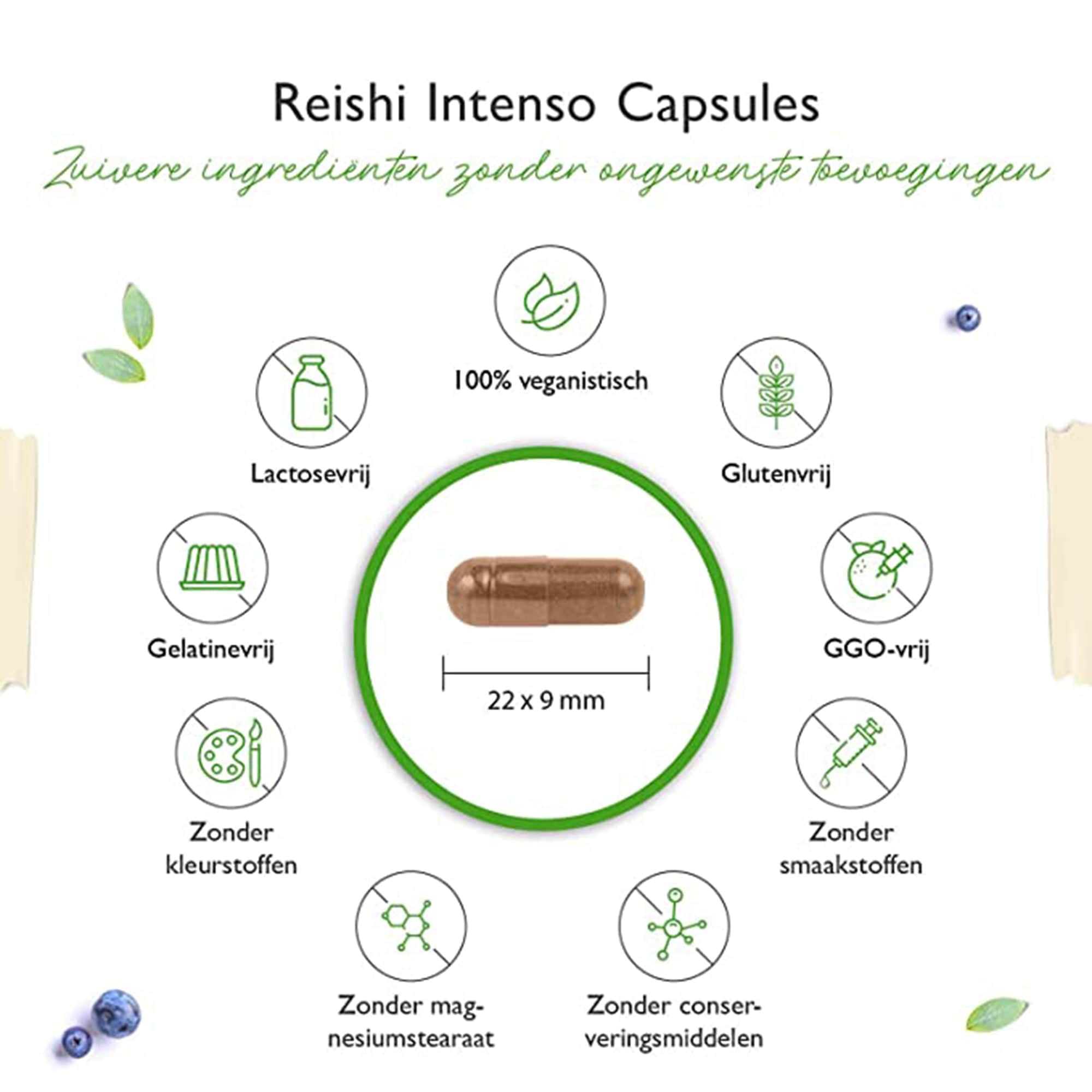 Vit4ever Reishi Paddenstoel extract | 40% bioactieve polysacchariden | 180 capsules | Power Mushroom - Ganoderma lucidum 1300 mg |