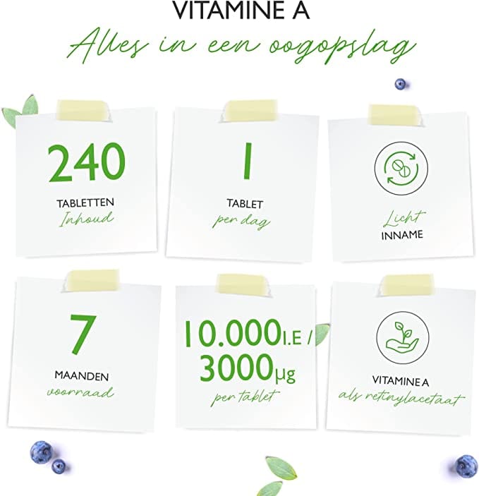Vitamine A | Retinylacetaat | 10.000 IE | 240 Tabletten | Vit4ever