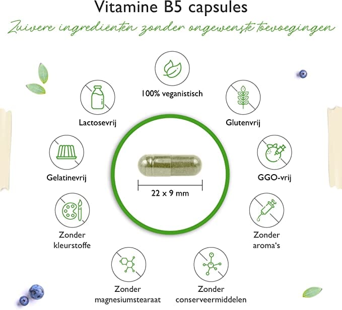 Vitamine B5 | Pantotheenzuur | 500mg | 180 Capsules | Vit4ever