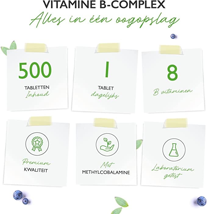 Vitamine B Complex | Alle 8 B-vitamines | 500 Tabletten | Vit4ever