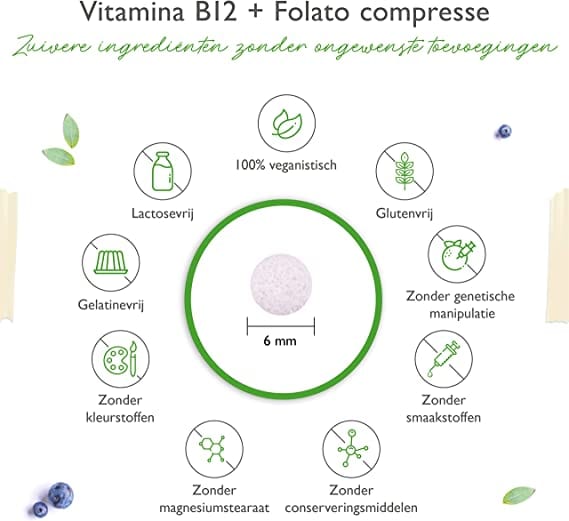 Vitamine B12 Folat | Triple Complex | 240 Tabletten | Vit4ever