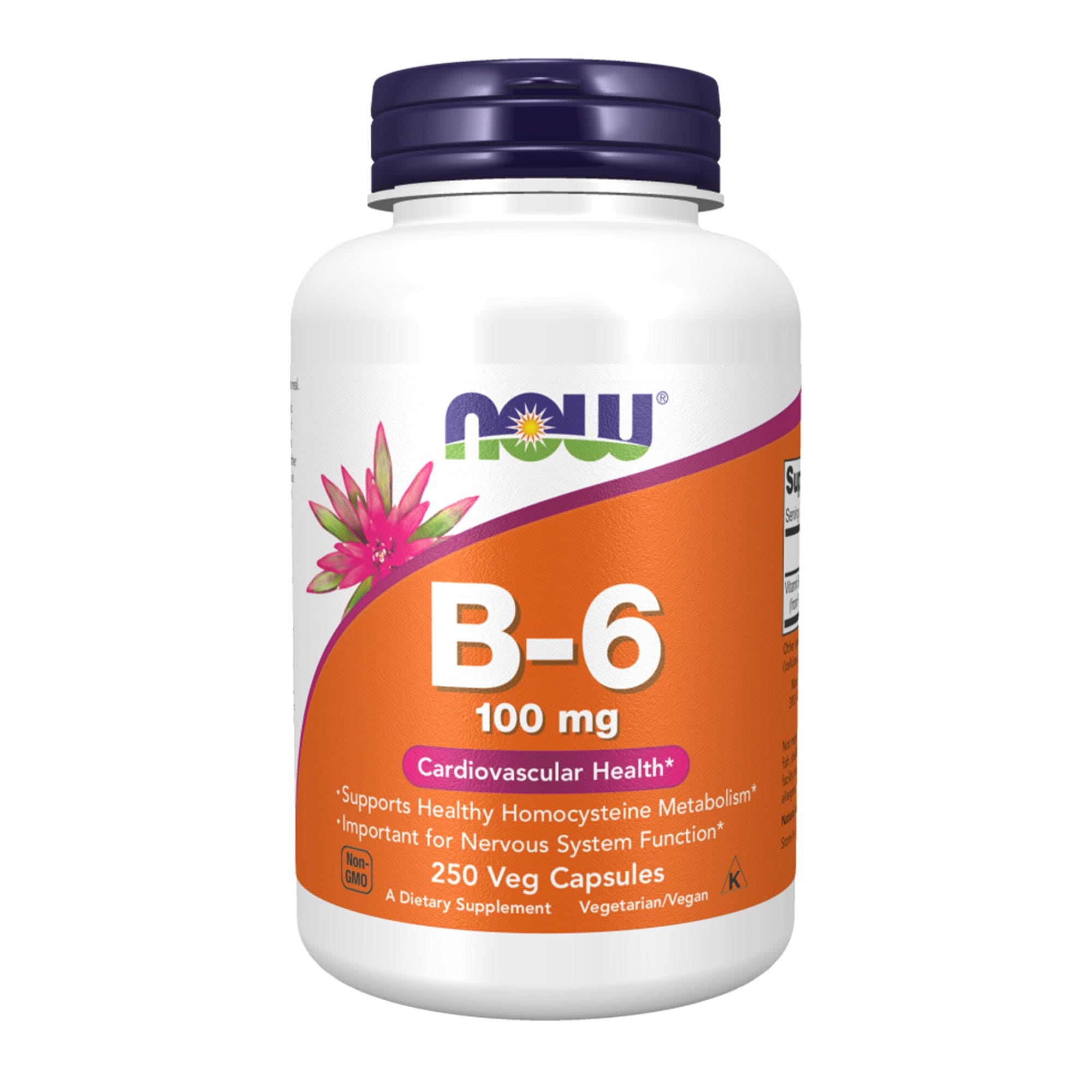 Now foods vitamine B6 250 capsules